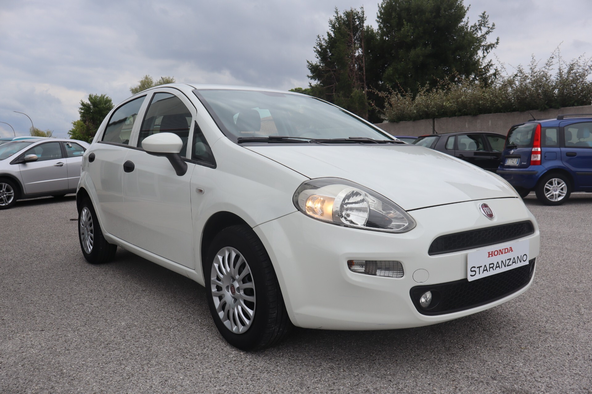 Fiat Punto 1.2 8V 5 porte Street